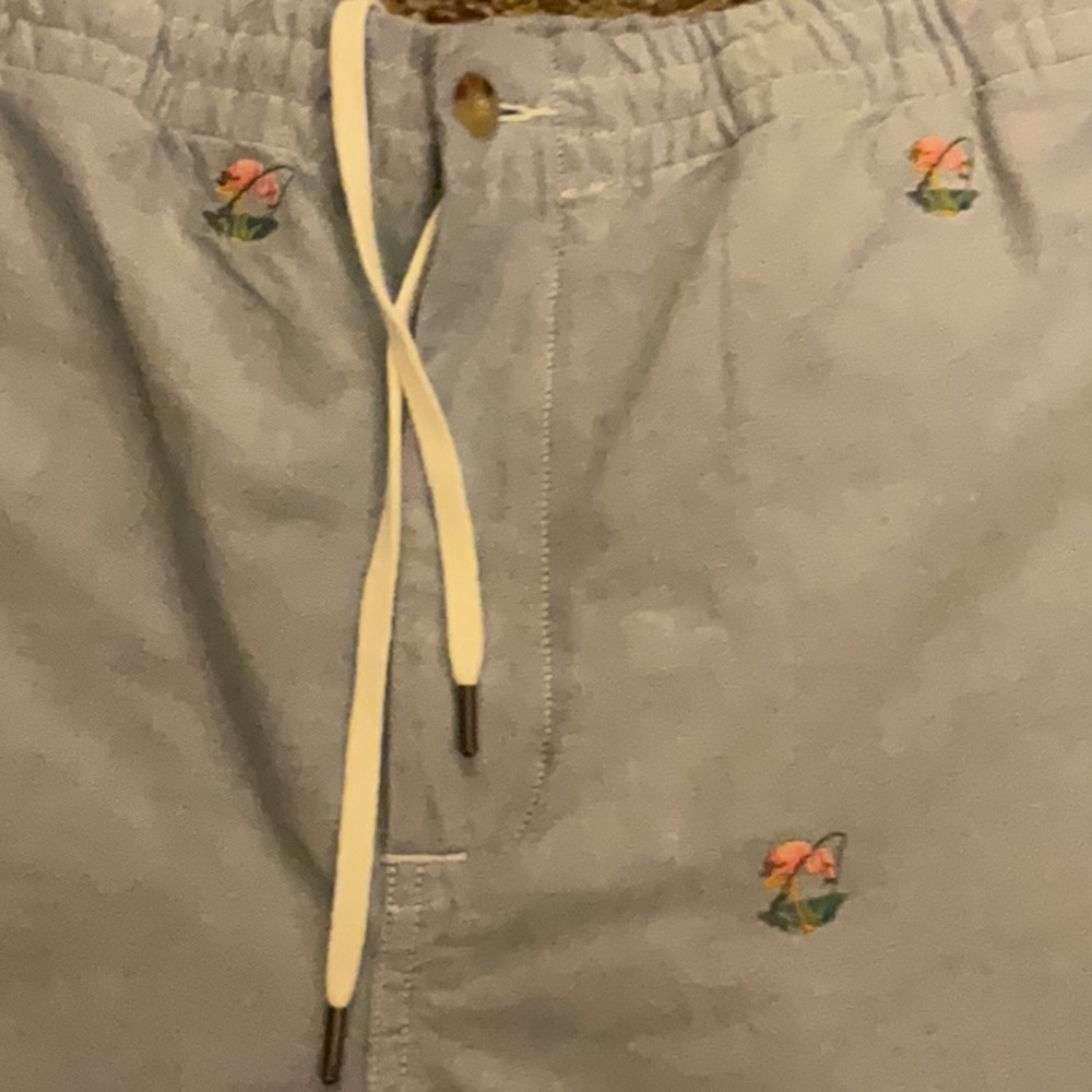 Ralph Lauren Polo Pink Flamingo Shorts XL NWT $125 Preppy - Picture 3 of 5